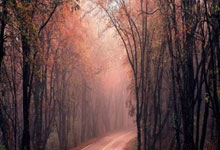 争霸世界：谁能将欧国联冠军揽于手中？